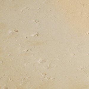 Dalle Béton Cluny Alkern Packshot