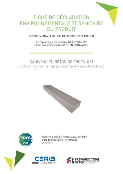FDES_Caniveau_CS1
